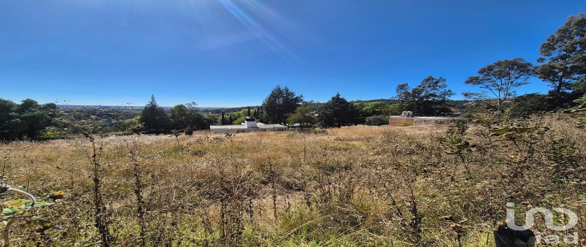 Foto de terreno habitacional en venta en palo huerfano 107, tercera sección, amaxac de guerrero, tlaxcala, 28923108 No. 03