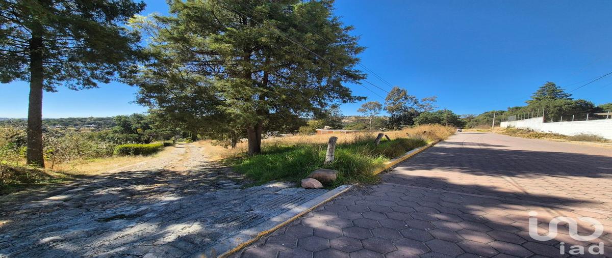 Foto de terreno habitacional en venta en palo huerfano 107, tercera sección, amaxac de guerrero, tlaxcala, 28923108 No. 04