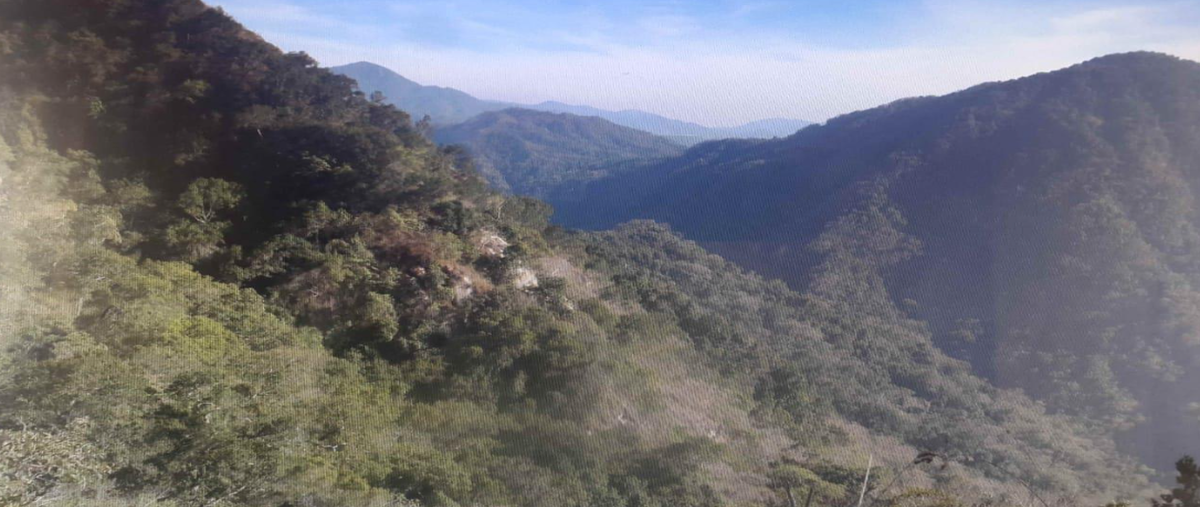 Foto de terreno habitacional en venta en palo maria , aeropuerto, puerto vallarta, jalisco, 0 No. 04