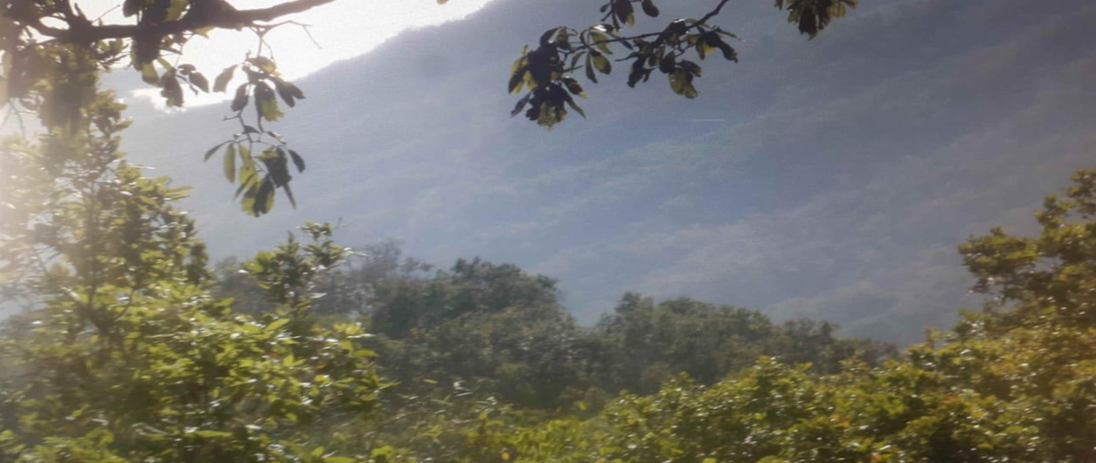 Foto de terreno habitacional en venta en palo maria , aeropuerto, puerto vallarta, jalisco, 0 No. 05