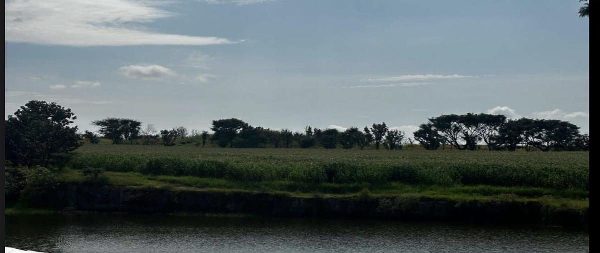 Foto de terreno habitacional en palo seco , zapotlanejo, zapotlanejo, jalisco, 28924923 foto 02 Foto de terreno habitacional en venta en palo seco , zapotlanejo, zapotlanejo, jalisco, 28924923 No. 02