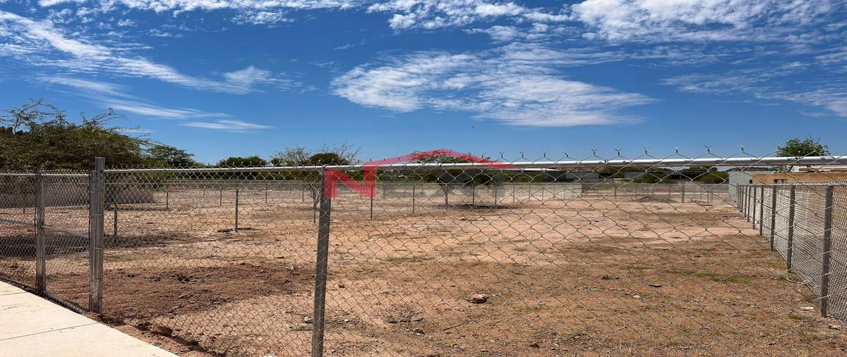 Foto de terreno habitacional en venta en palo verde 0, palo verde, hermosillo, sonora, 0 No. 03