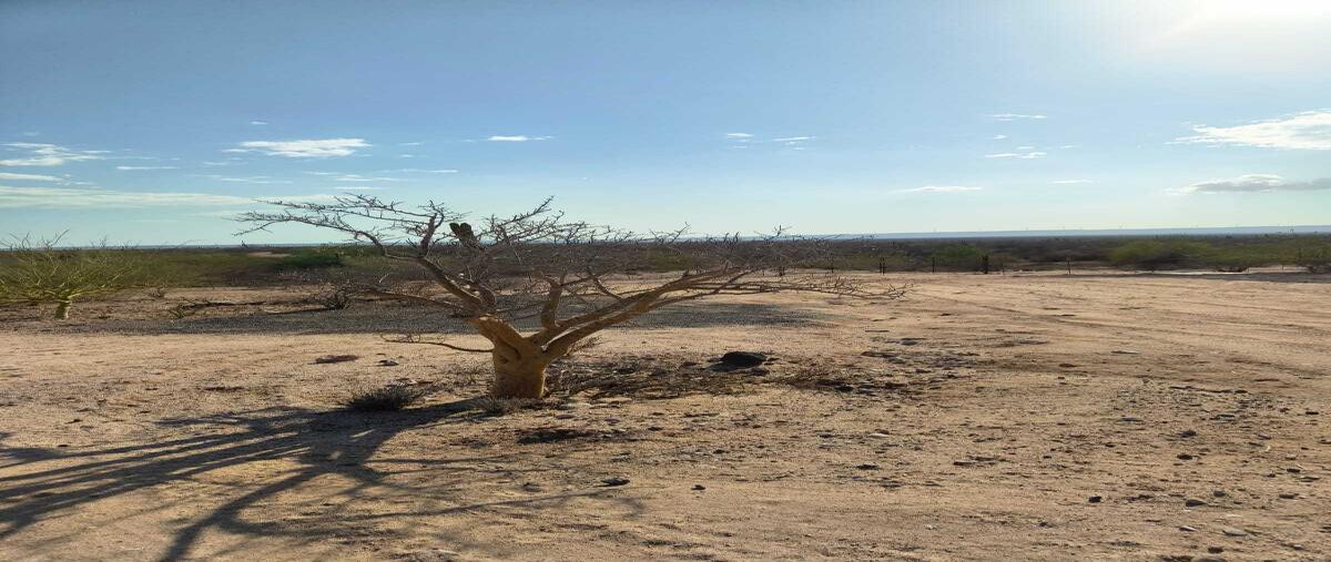 Foto de terreno habitacional en venta en palo verde , el centenario, la paz, baja california sur, 30633801 No. 04
