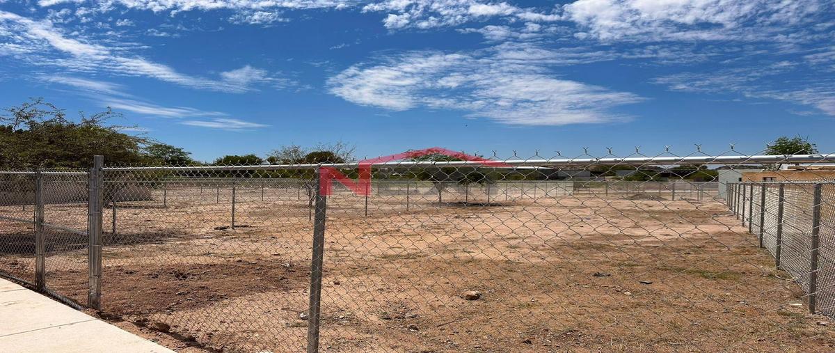 Foto de terreno habitacional en venta en  , palo verde sur, hermosillo, sonora, 0 No. 03
