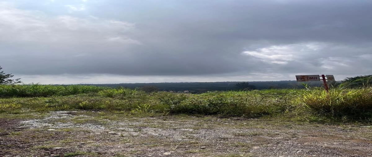 Foto de terreno habitacional en venta en paloma , dos ríos, emiliano zapata, veracruz de ignacio de la llave, 0 No. 04