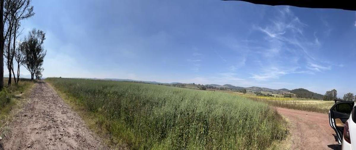 Foto de terreno comercial en venta en  , palos altos, soyaniquilpan de juárez, méxico, 0 No. 03