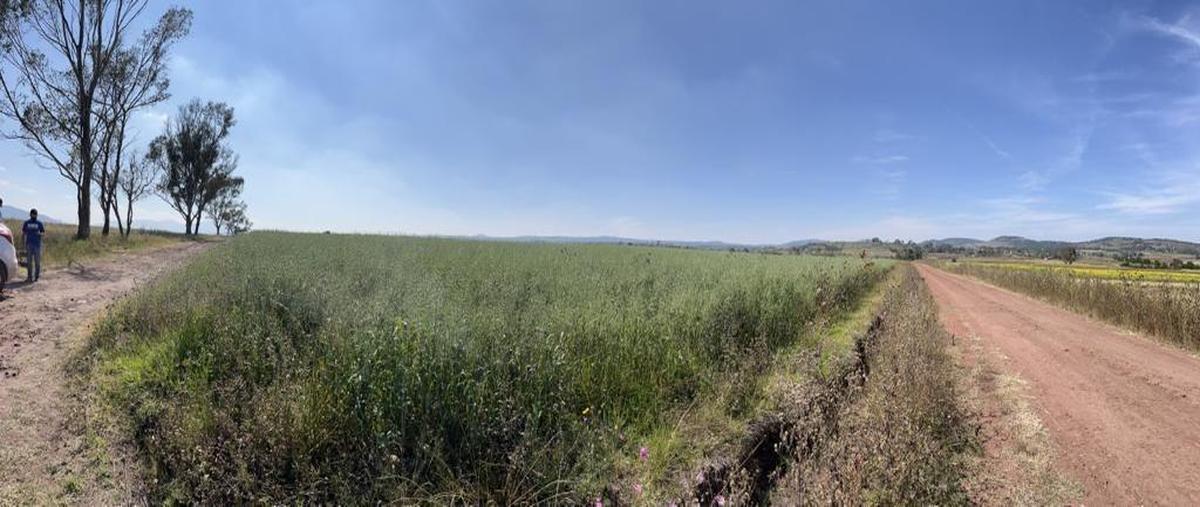 Foto de terreno comercial en venta en  , palos altos, soyaniquilpan de juárez, méxico, 0 No. 04