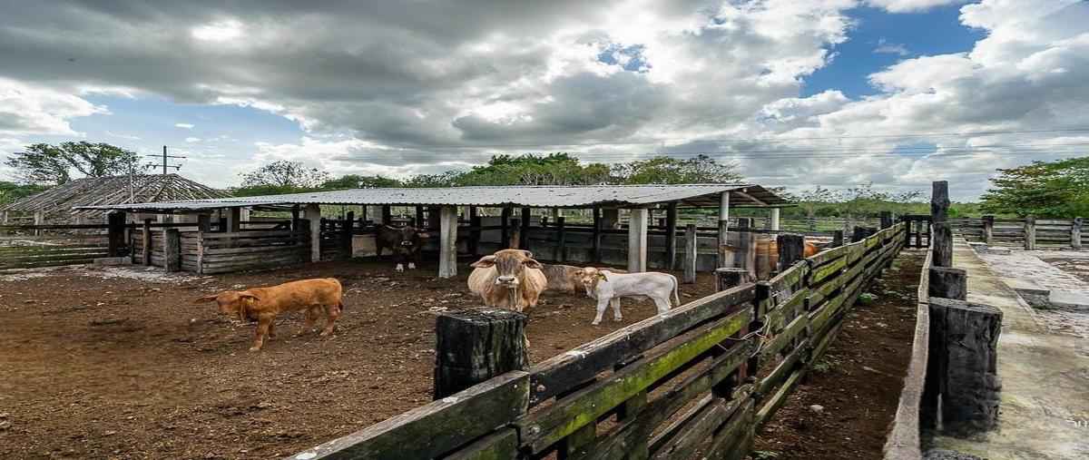 Foto de rancho en venta en panabá , panaba, panabá, yucatán, 0 No. 03