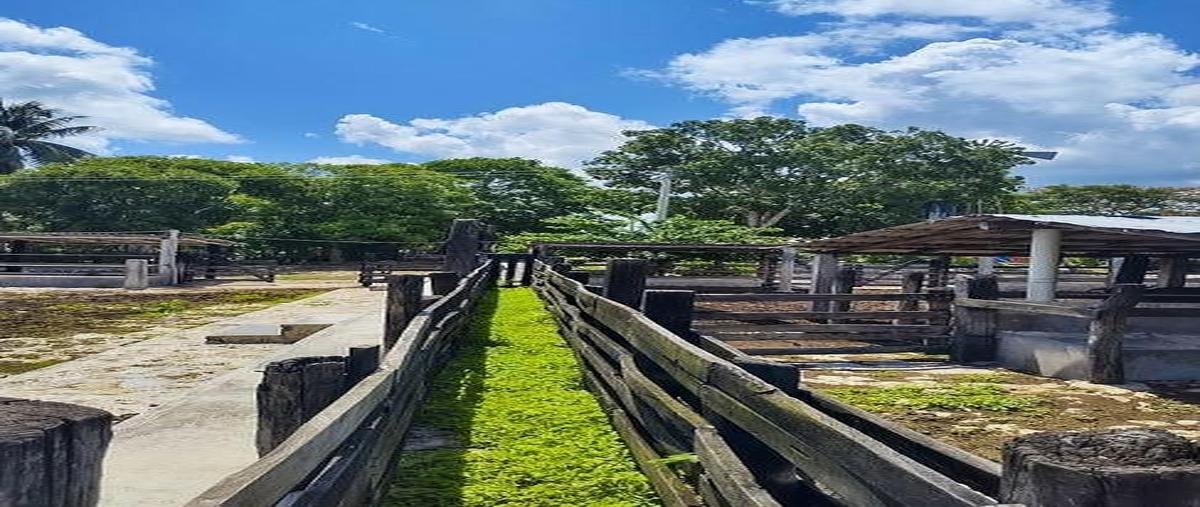 Foto de rancho en venta en panabá , panaba, panabá, yucatán, 0 No. 05