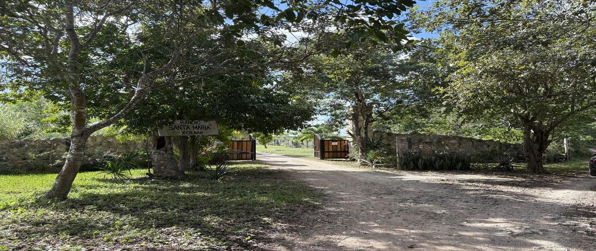 Foto de rancho en venta en  , panaba, panabá, yucatán, 29045269 No. 03