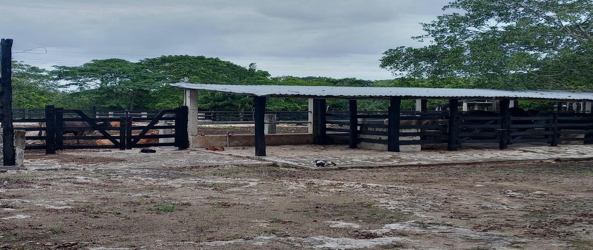 Foto de terreno habitacional en , panaba, panabá, yucatán, 31426657 foto 01 Foto de terreno habitacional en venta en , panaba, panabá, yucatán, 31426657 No. 01