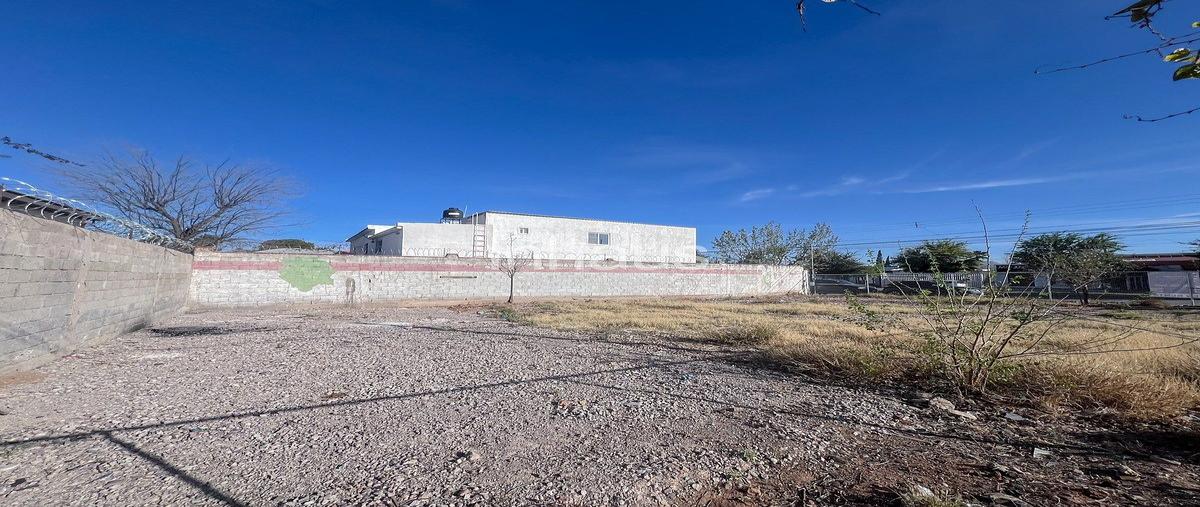 Foto de terreno habitacional en renta en panamericana , panamericana, chihuahua, chihuahua, 31003586 No. 04