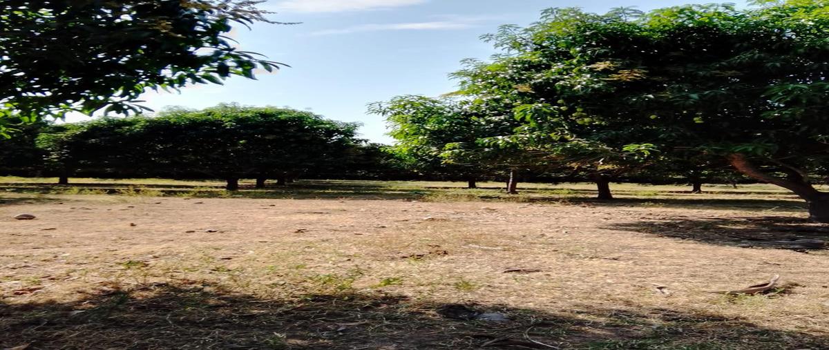 Foto de terreno habitacional en venta en  , pantla centro, zihuatanejo de azueta, guerrero, 0 No. 03