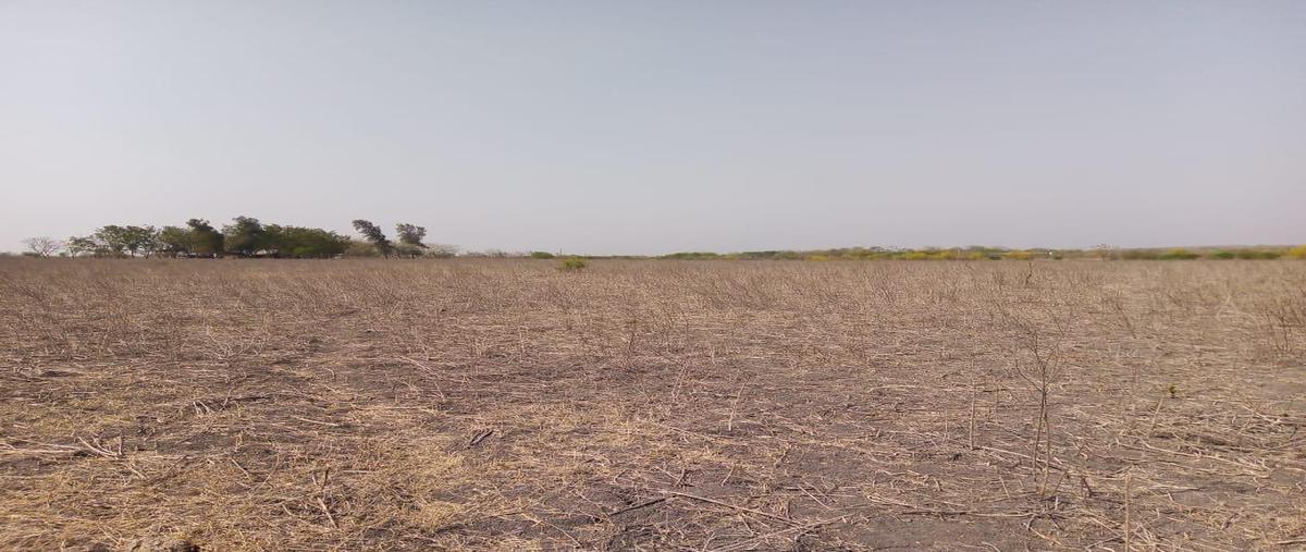 Foto de rancho en venta en  , panuco centro, pánuco, veracruz de ignacio de la llave, 0 No. 04