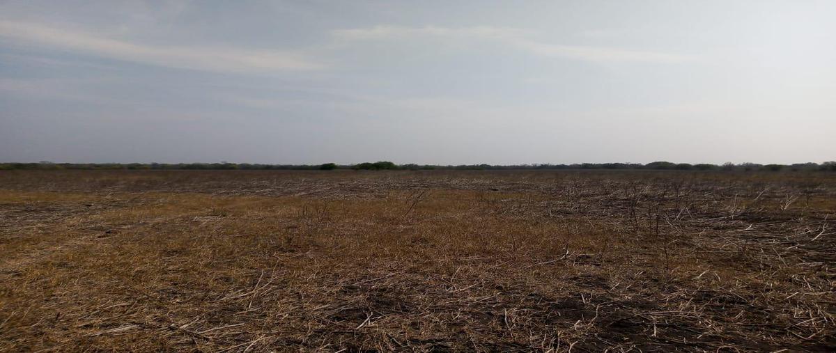 Foto de rancho en venta en  , panuco centro, pánuco, veracruz de ignacio de la llave, 0 No. 05