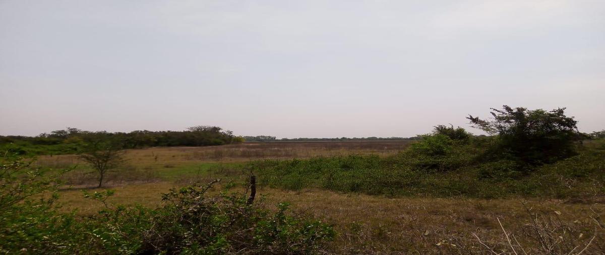 Foto de rancho en venta en  , panuco centro, pánuco, veracruz de ignacio de la llave, 0 No. 03