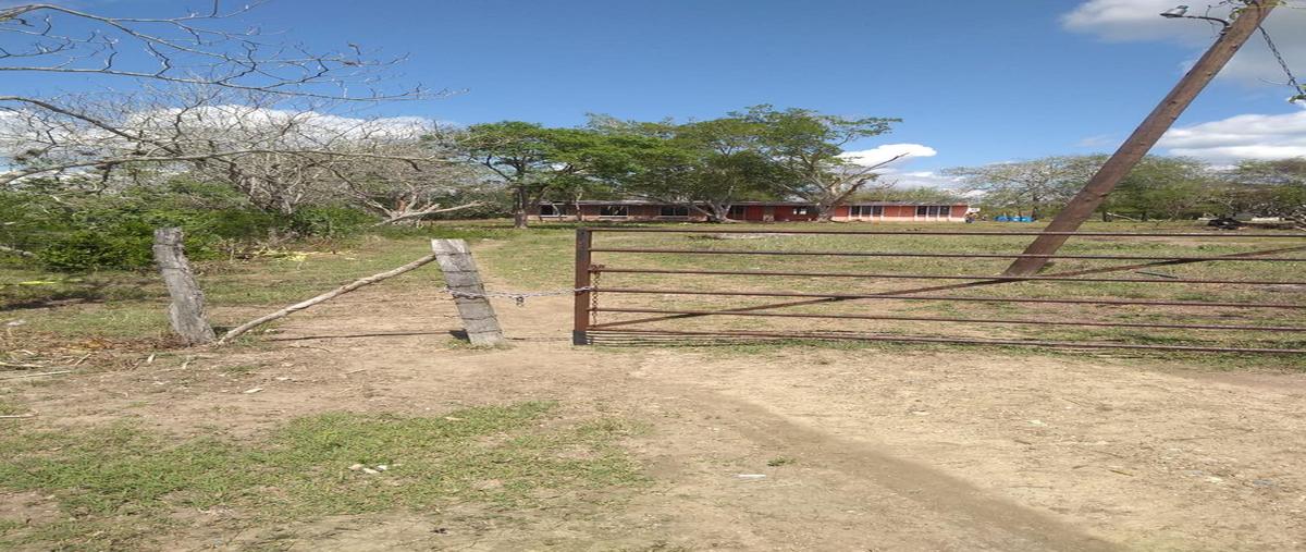 Foto de terreno habitacional en , panuco centro, pánuco, veracruz de ignacio de la llave, 0 foto 01 Foto de terreno habitacional en venta en , panuco centro, pánuco, veracruz de ignacio de la llave, 0 No. 01