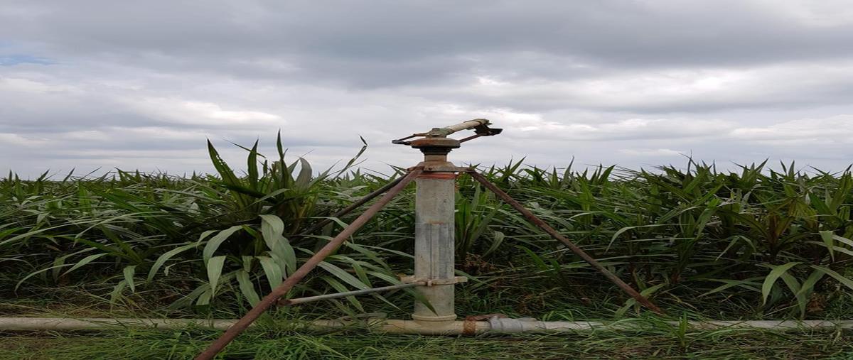 Foto de terreno habitacional en venta en  , panuco centro, pánuco, veracruz de ignacio de la llave, 0 No. 03