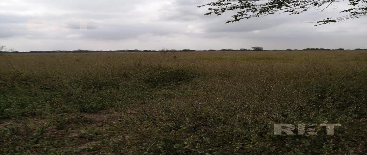 Foto de rancho en venta en  , panuco centro, pánuco, veracruz de ignacio de la llave, 0 No. 03