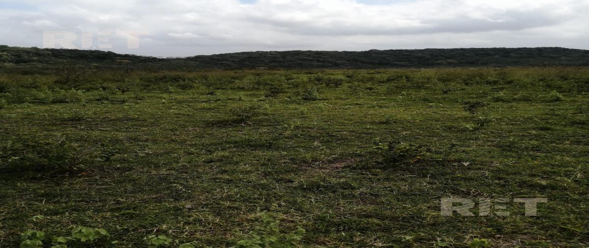 Foto de rancho en venta en  , panuco centro, pánuco, veracruz de ignacio de la llave, 0 No. 04