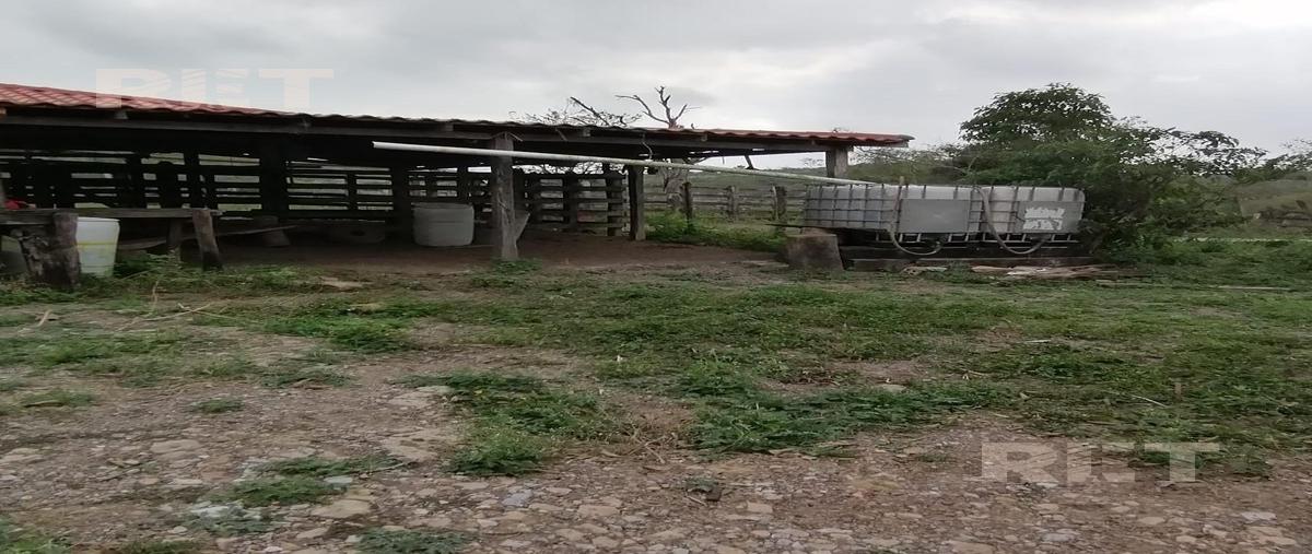 Foto de rancho en venta en  , panuco centro, pánuco, veracruz de ignacio de la llave, 0 No. 05