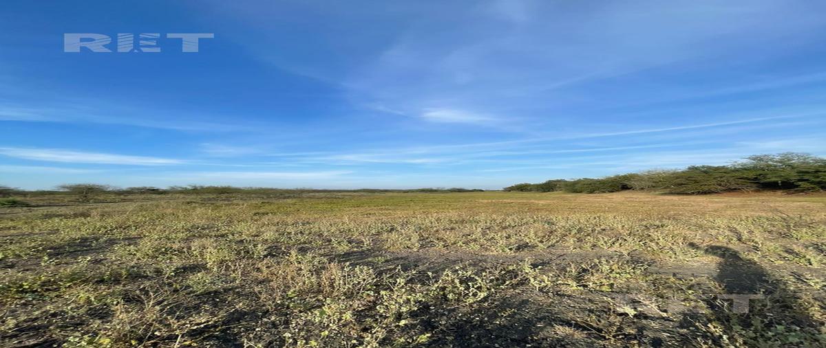 Foto de rancho en , panuco centro, pánuco, veracruz de ignacio de la llave, 27849527 foto 04 Foto de rancho en venta en , panuco centro, pánuco, veracruz de ignacio de la llave, 27849527 No. 04