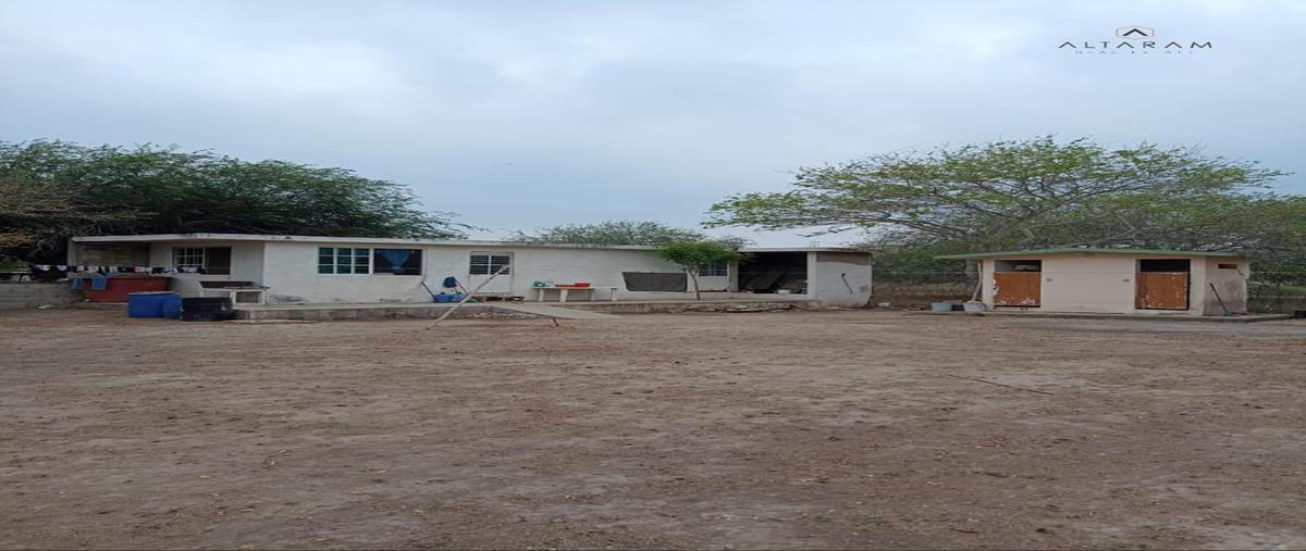 Foto de casa en venta en  , panuco centro, pánuco, veracruz de ignacio de la llave, 0 No. 04