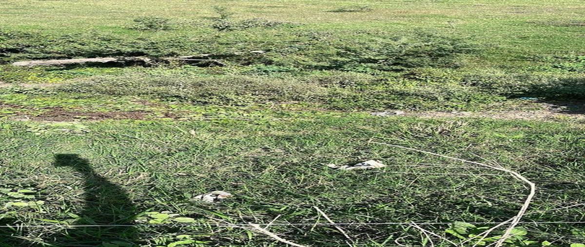 Foto de terreno habitacional en , panuco centro, pánuco, veracruz de ignacio de la llave, 0 foto 03 Foto de terreno habitacional en venta en , panuco centro, pánuco, veracruz de ignacio de la llave, 0 No. 03
