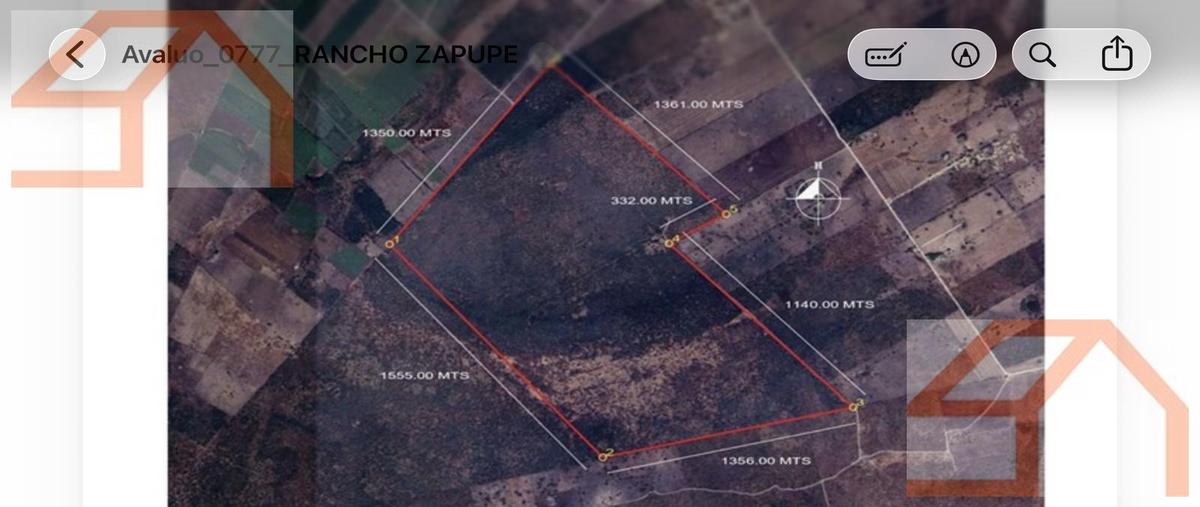 Foto de rancho en venta en  , panuco centro, pánuco, veracruz de ignacio de la llave, 31402225 No. 05