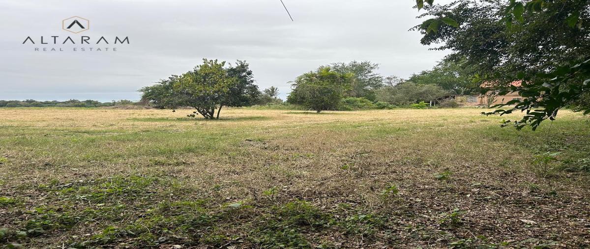 Foto de terreno habitacional en venta en  , panuco centro, pánuco, veracruz de ignacio de la llave, 31471343 No. 03