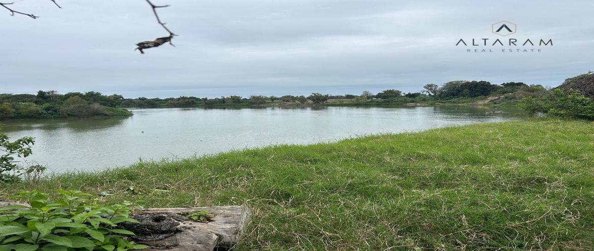 Foto de terreno habitacional en venta en  , panuco centro, pánuco, veracruz de ignacio de la llave, 31471343 No. 04