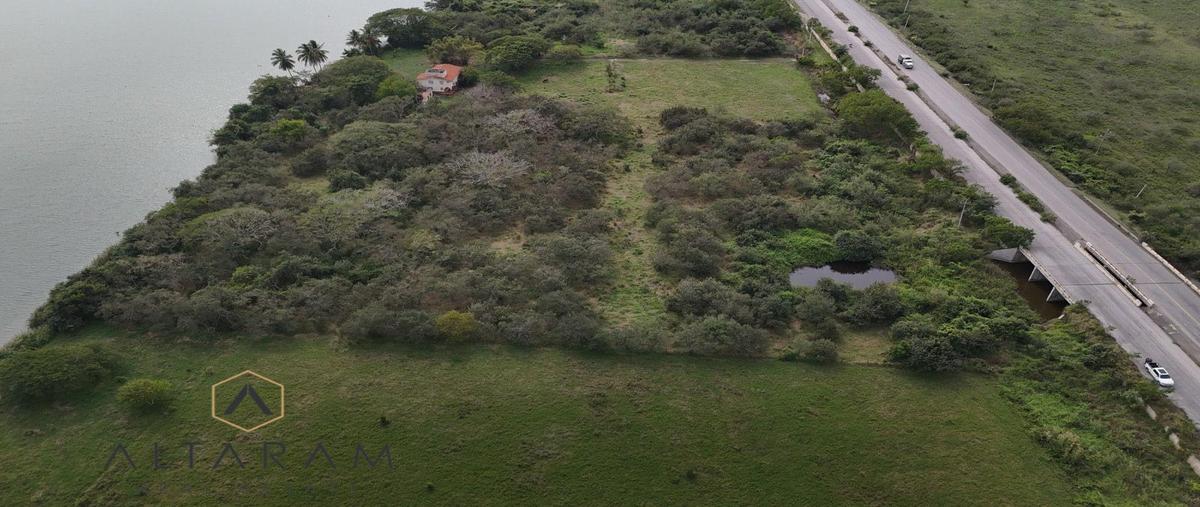 Foto de terreno habitacional en venta en  , panuco centro, pánuco, veracruz de ignacio de la llave, 31471345 No. 03