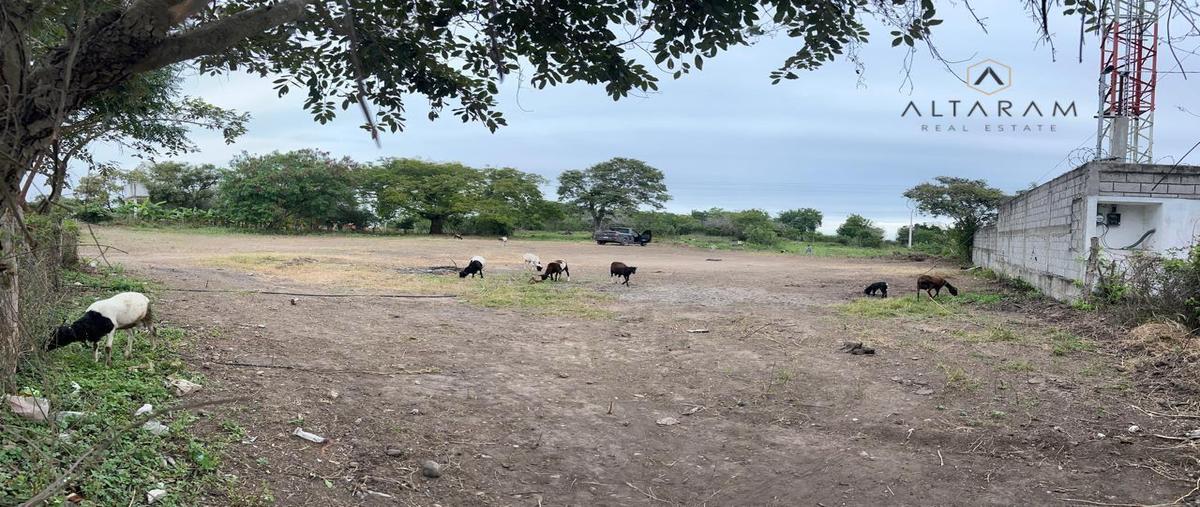 Foto de terreno habitacional en venta en  , panuco centro, pánuco, veracruz de ignacio de la llave, 0 No. 03