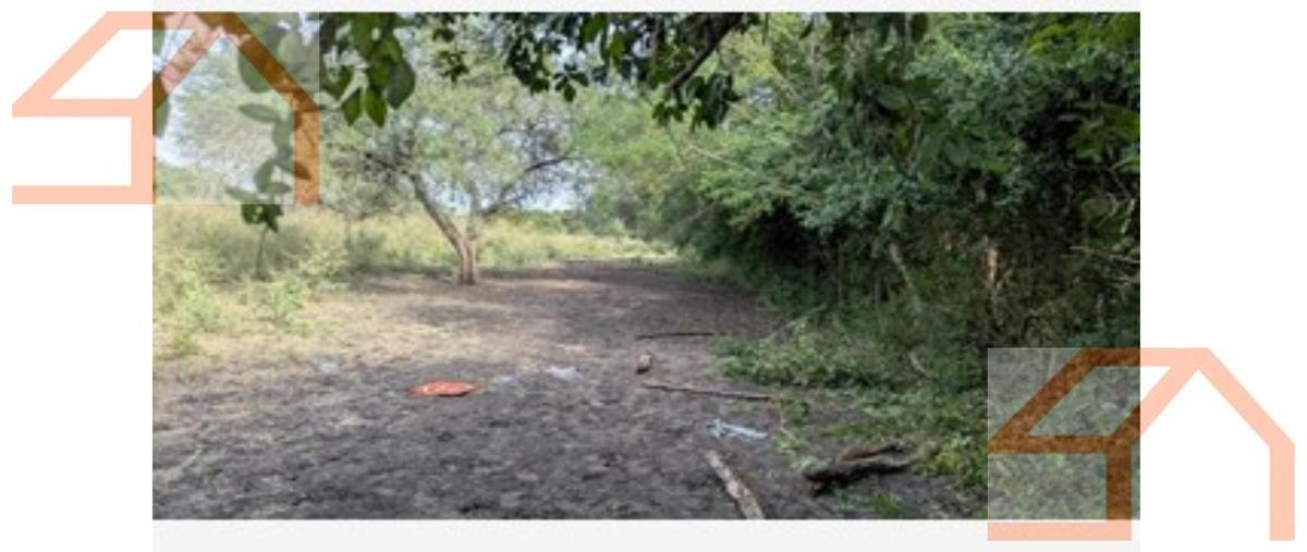 Foto de rancho en venta en  , panuco centro, pánuco, veracruz de ignacio de la llave, 0 No. 03