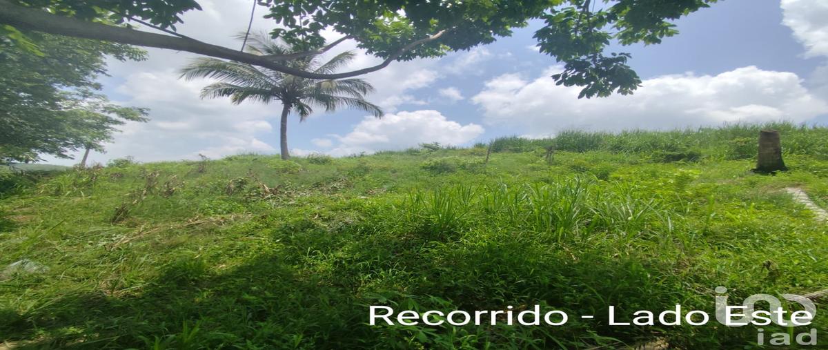 Foto de terreno comercial en venta en papantla 1206, papantla centro, papantla, veracruz de ignacio de la llave, 30668435 No. 03