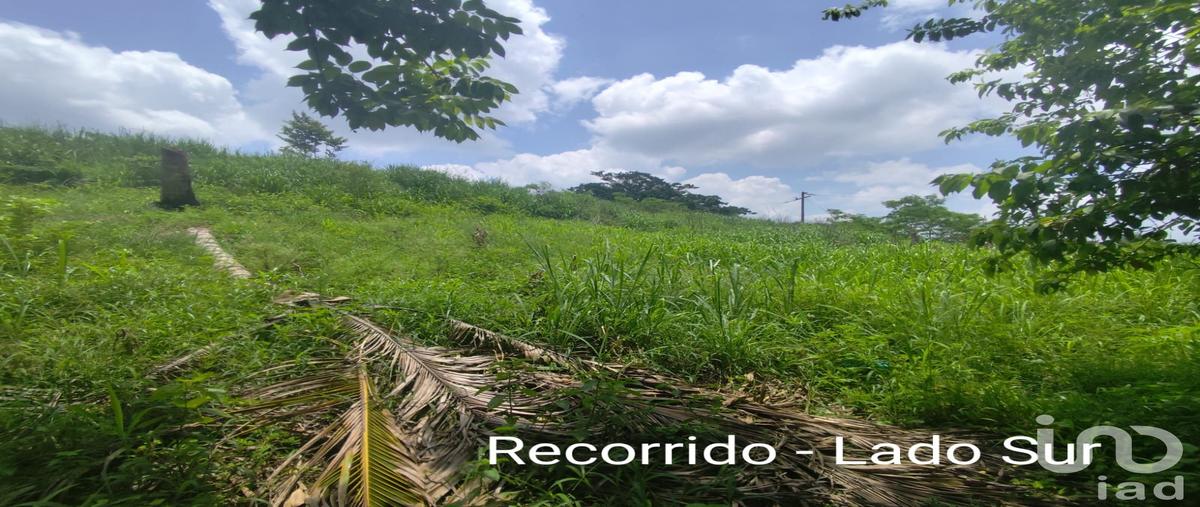 Foto de terreno comercial en venta en papantla 1206, papantla centro, papantla, veracruz de ignacio de la llave, 30668435 No. 04