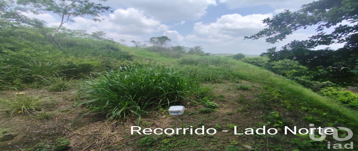 Foto de terreno comercial en venta en papantla 1206, papantla centro, papantla, veracruz de ignacio de la llave, 30668435 No. 05