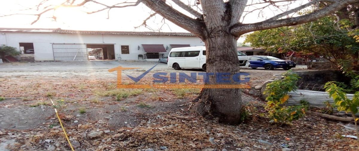Foto de terreno habitacional en renta en  , papantla centro, papantla, veracruz de ignacio de la llave, 28215373 No. 05