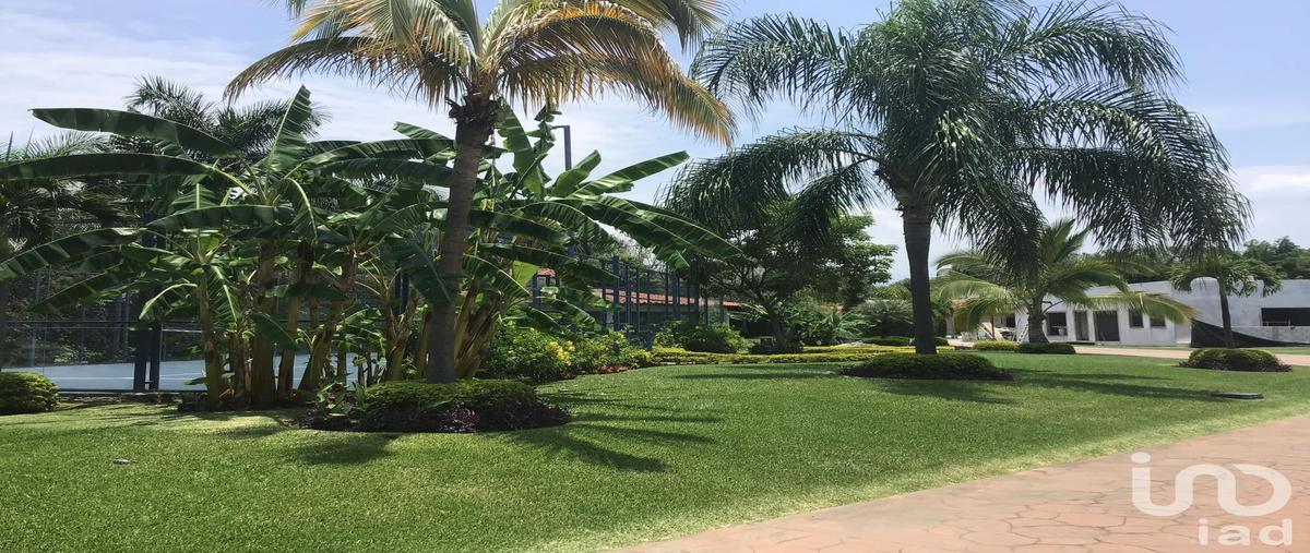 Foto de terreno habitacional en venta en par vial 546, josé g parres, jiutepec, morelos, 30790331 No. 03