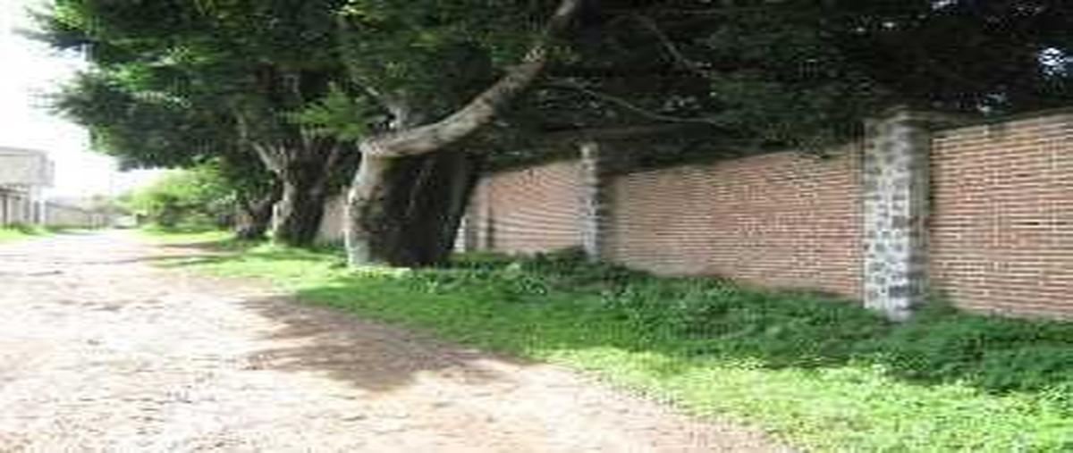 Foto de terreno habitacional en venta en paraiso , atlacholoaya, xochitepec, morelos, 30107839 No. 03