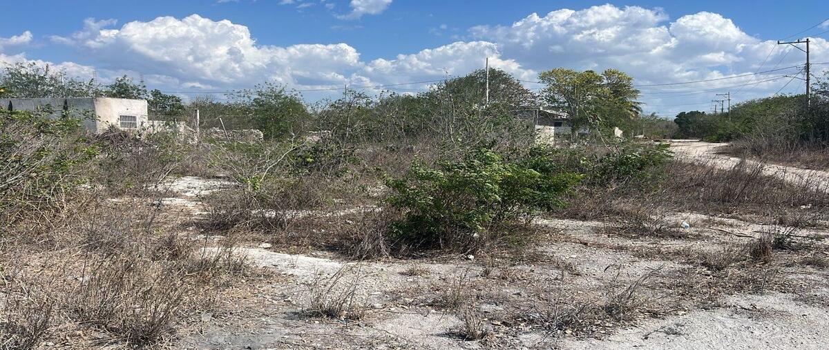 Foto de terreno habitacional en venta en paraiso carretera merida a progreso , paraíso, mérida, yucatán, 0 No. 03