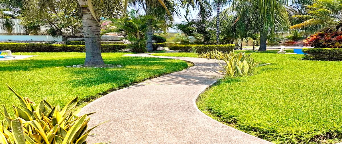 Foto de casa en condominio en venta en paraíso cocoyitos , cocoyoc, yautepec, morelos, 31514296 No. 04