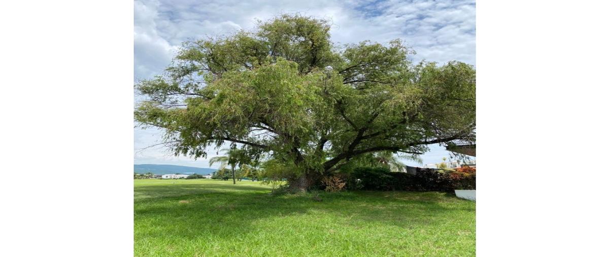 Foto de terreno habitacional en venta en  , paraíso country club, emiliano zapata, morelos, 0 No. 04