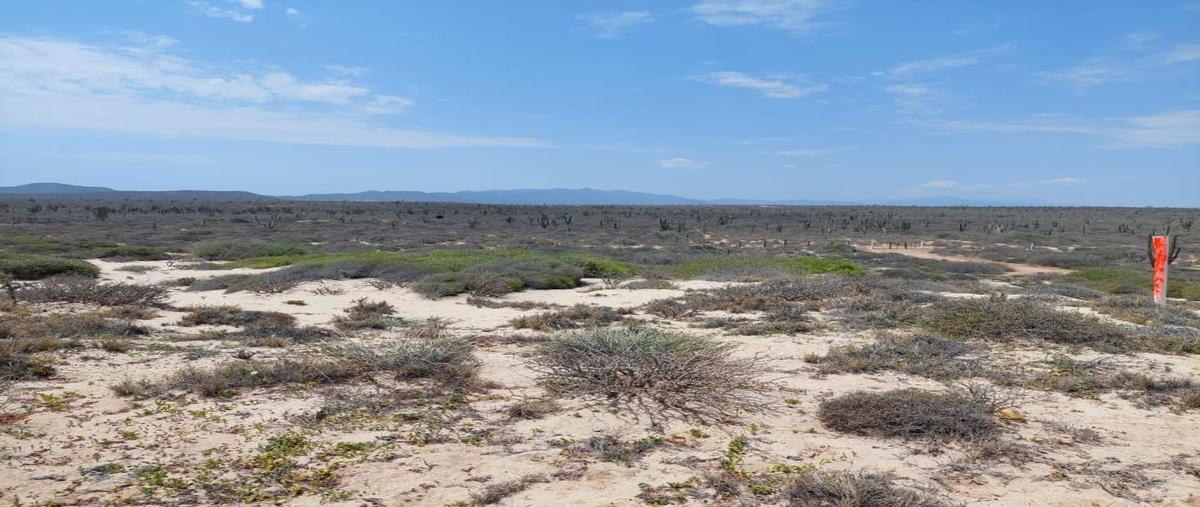 Foto de terreno habitacional en venta en paraiso , el sargento, la paz, baja california sur, 0 No. 03
