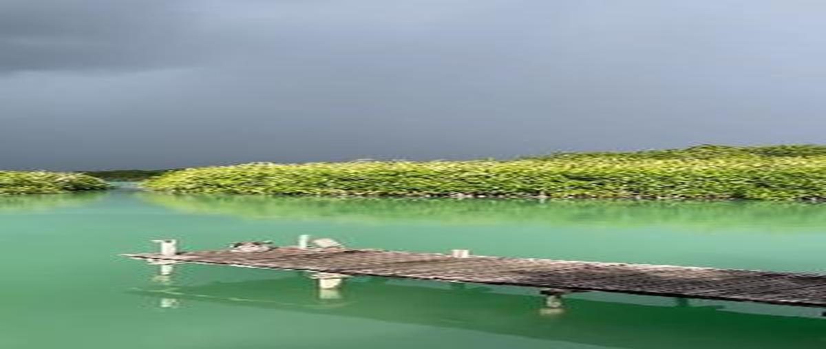 Foto de terreno habitacional en venta en  , paraíso escondido, bacalar, quintana roo, 0 No. 05