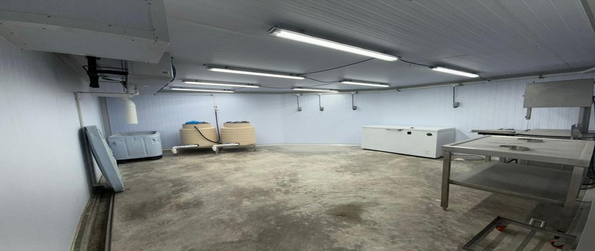 Foto de bodega en renta en  , paraíso, guadalupe, nuevo león, 0 No. 04