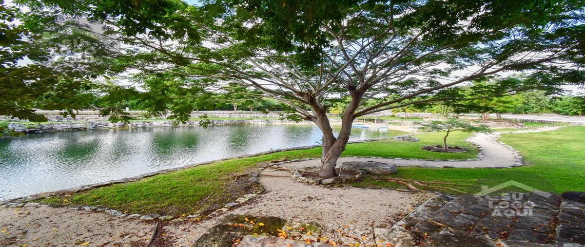 Foto de terreno habitacional en venta en  , paraíso, maxcanú, yucatán, 29336021 No. 03