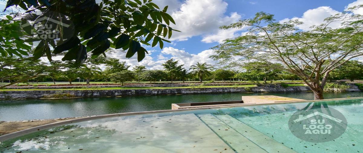 Foto de terreno habitacional en venta en  , paraíso, maxcanú, yucatán, 29336021 No. 05