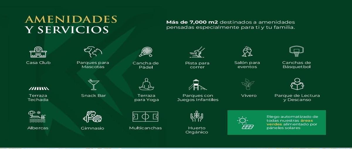 Foto de terreno habitacional en venta en  , paraíso, mérida, yucatán, 27892469 No. 05