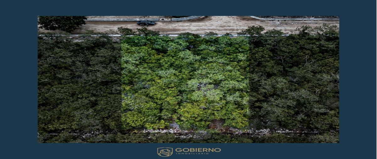 Foto de terreno habitacional en venta en  , paraíso, mérida, yucatán, 30142238 No. 03
